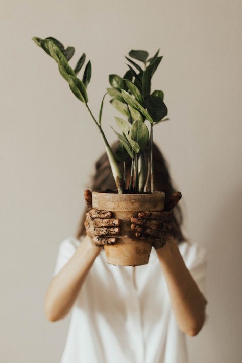 5 Brilliant ways to water your plants when you’re not home Pot Plants, Plant Photography, Plant Aesthetic, House Plant Care, Foto Poses, Introverted, Plant Mom, Snake Plant, Plant Lady