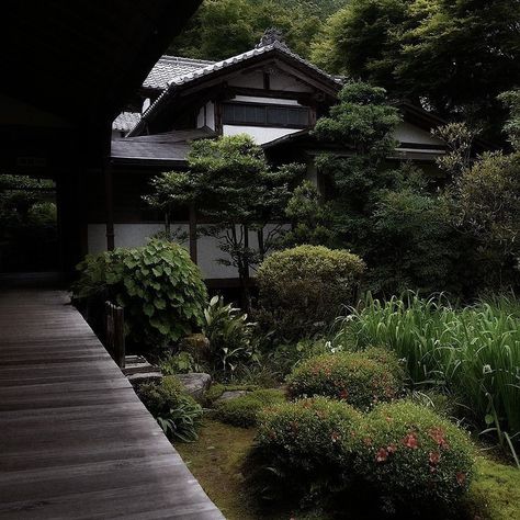 Japan Countryside, Dark Green Aesthetic, Japan Aesthetic, Aesthetic Japan, Japanese Aesthetic, Pinterest Pin, Japanese House, Nature Aesthetic, Pretty Places