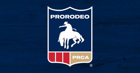 Prca Rodeo, National Finals Rodeo, Painting Inspo, Aesthetic Painting, Sports News, Rodeo, Number One, This Year, Cowboy