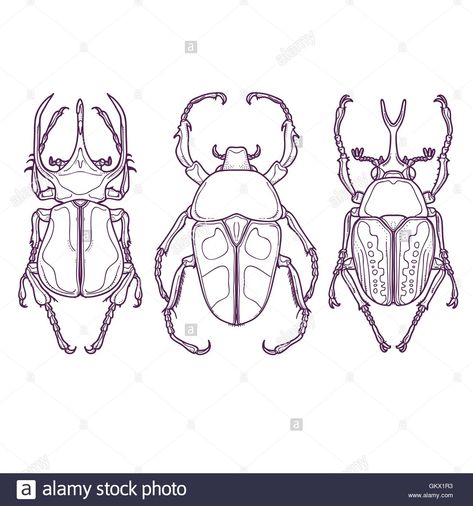 Beetle Flash Tattoo, Beetle Outline Drawing, Bug Outline Tattoo, Bug Outlines, Beetle Line Art, Insect Outline, Beetle Outline, Drawings Of Insects, Beetle Tattoo Design