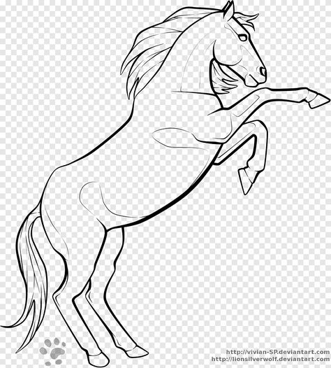 Rearing Horse Drawing, Horse Running Drawing, Mustang Drawing, Horse Drawing Tutorial, Black Panther Drawing, Unicorn Sketch, Horse Outline, Printable Stencils, Black Cat Illustration