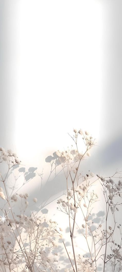 White Flowers Aesthetic Background, Cute Wallpaper Backgrounds Simple, Neutral Asthetic Wallpers Iphone, Wallpaper Ipad Aesthetic White, Iphone White Wallpaper Aesthetic, White Asthetics Wallpaper Iphone, Calming Backgrounds Iphone Wallpaper, Aesthetic Iphone Wallpaper Classy, White Aesthetic Background Iphone