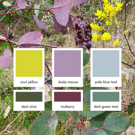 Chartreuse And Purple Color Palette, Australian Colour Palette Color Schemes, Olive Green Complementary Colors, Yellow Purple Green Color Scheme, Yellow And Lilac Aesthetic, Mulberry Purple Aesthetic, Purple Yellow Aesthetic, Oxford Apartment, Purple And Yellow Aesthetic