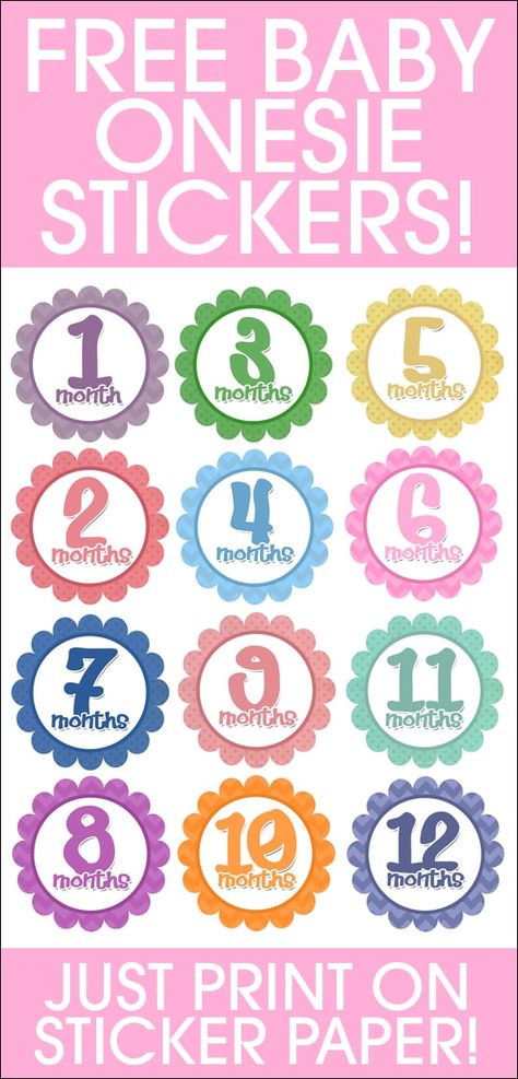 Diy Gifts For Girls, Baby Month Stickers, Milestone Stickers, Cricut Baby, Month Stickers, Baby Stickers, Photo Stickers, Diy Baby, Baby Milestones