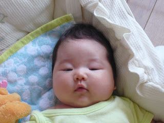 Fat Baby, Asian Baby, Japanese Baby, Cute Asian Babies, Asian Babies, Baby Pictures, Baby Photos, Photo Sharing