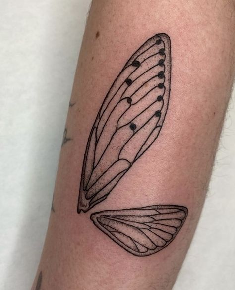 Bug Wings Tattoo, Bug Wings, Cicada Tattoo, Cosmos Tattoo, Knuckle Tattoos, Bug Tattoo, Wing Tattoo, Tattoo Apprentice, Arm Tattoos For Women