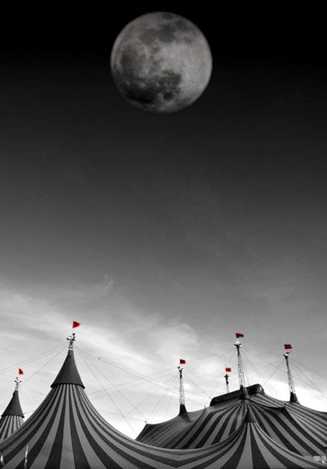 Caraval Collage, Circus Tents, The Night Circus, Circus Aesthetic, Dark Circus, Night Circus, Circus Tent, Circus Art, Big Top