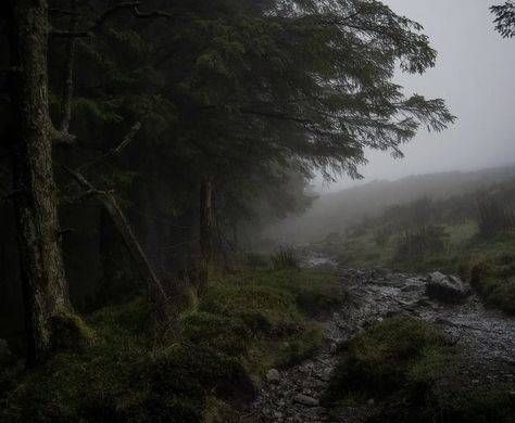 Ireland Aesthetic, Dark Naturalism, Foggy Forest, Dark Cottagecore, Foggy Morning, Witchy Vibes, Middle Earth, Dark Aesthetic, Mist