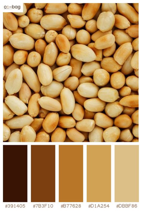 Macadamia Color Palette, Cashew Color Palette, Butter Color Palette, Palette Challenge, Color Palette Challenge, Color Schemes Colour Palettes, Paint Brands, Chocolate Color, Peanut Butter Banana