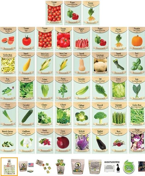 Set of 43 Assorted Vegetable & Herb Seed Packets - Over 10,000 Seeds! - Includes Mylar Storage Bag - Deluxe Garden Heirloom Seeds - 100% Non-GMO Vegetable Seeds Packets, Magick Book, Vegetable Seeds, Herb Seeds, Heirloom Seeds, Seed Packets, Gardening Supplies, Sweet Corn, Non Gmo