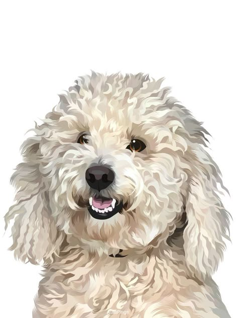 Poodle Drawing, Dog Portraits Art, Custom Pet Art, Personalized Dog Gift, Posca Art, Dog Artwork, Dog Vector, Pet Art, Vector Portrait