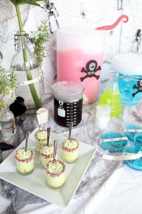 Sharing all the crazy DIY's and gooey recipes from a scary spooky Halloween Mad Scientist Party for the holidays. Mad Scientist Halloween, Creative Baby Shower Themes, Mad Science Party, Mad Scientist Party, Lego Themed Party, Scientist Party, Science Birthday, Science Party, Petri Dish