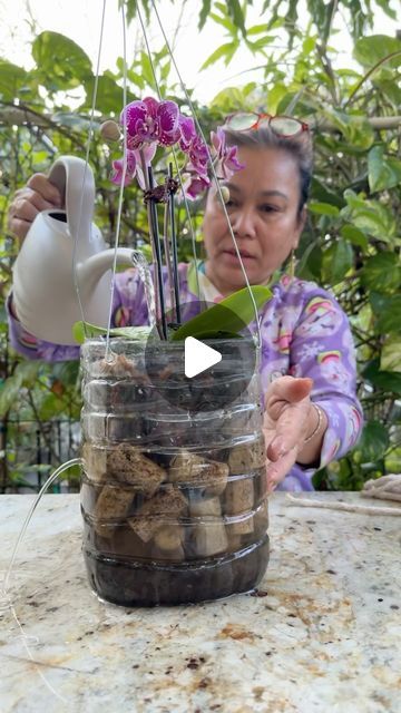 Lan Nguyen on Instagram: "Watch how mom repots a new orchid plant in her DIY planter! 👩🏻‍🌾 would you try this too?" Diy Orchid Planter, Diy Orchid Pot Ideas, Orchid Pots Ideas, Orchid Potting Ideas, How To Revive An Orchid, Orchid Planter Ideas Diy, Diy Orchid Pot, Orchid Planter Ideas, Indoor Planter Ideas