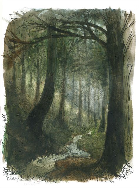 Claire Keane, Forest Sketch, Forest Drawing, Summer Watercolor, Forest Illustration, Forest Painting, Art Story, Sketchbook Ideas, Arte Sketchbook