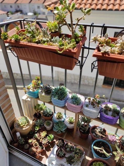 Succulent Garden Balcony, Mini Balcony Garden Ideas, Mini Balcony Garden, Succulents Balcony, Mini Succulent Garden, Small Balcony Garden, Succulent Garden Diy, Mini Succulents, House Plants Decor