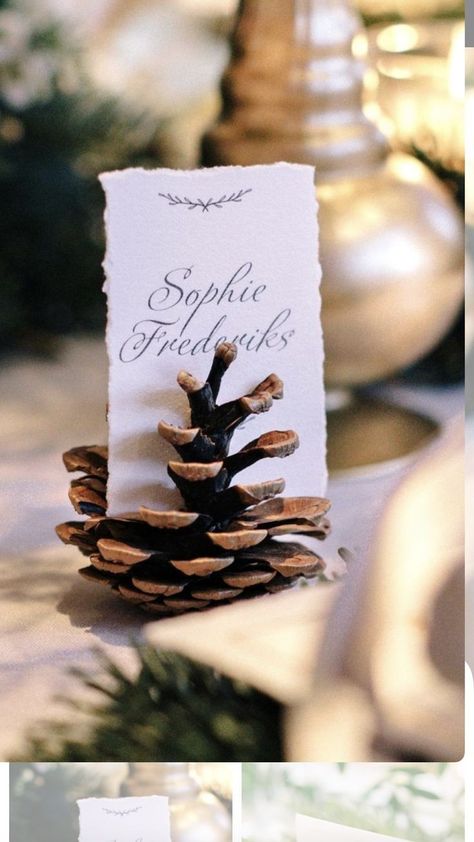 Winter Woodland Wedding Decor, Classy Reception, Pine Decor, Eloping Ideas, Winter Wedding Stationery, Pine Cone Wedding, Alaskan Wedding, Destination Wedding Weekend, Wedding Name Tags