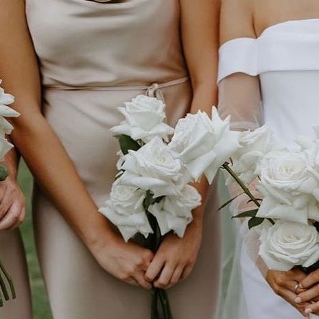 Wedding Planner & Stylist VIC on Instagram: "Our love for classic white roses will never fade 🤍  Sarah and her besties held bouquets of white roses which looked so beautiful against their @marquisebridal and @shonajoy gowns. Gorgeous neutral colour palette" Just White Roses Bouquet, White Rose Bouquet Bridesmaid, Small White Rose Bouquet, Rose Bridesmaid Bouquet, White Rose Bouquet, Wedding 2025, Never Fade, Neutral Colour Palette, Flower Bouquet Wedding