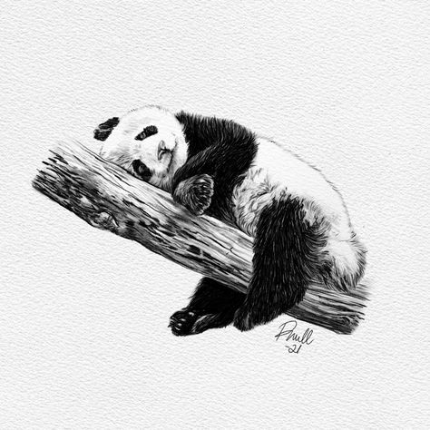 Realistic Panda Tattoo, Panda Tattoo Design, Unique Minimalist Tattoo, Bumble Bee Tattoo, Spartan Tattoo, Bamboo Tattoo, Panda Tattoo, Panda Drawing, Chicano Style Tattoo