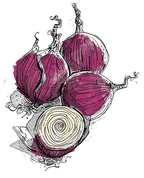 Watercolour Pen Art, Fruit Pen Drawing, Watercolor And Pen, Onion Art, Red Onion Drawing, Vegetables Drawing, Pen And Watercolor Art, Ink And Wash, Pen And Ink Drawings With Watercolor