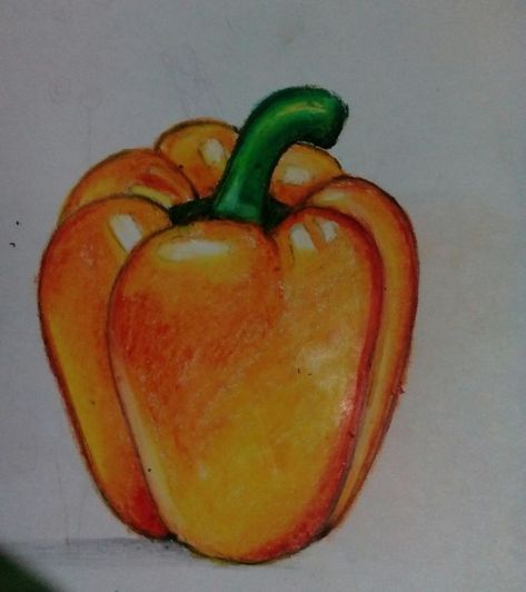 Fruit Drawing Colored Pencil, Oil Pastel Vegetables, Fruit And Vegetable Drawing, Fruits Oil Pastel, Fruits Drawing Pencil, Oil Pastel Fruit Drawings, Vegetable Drawing For Kids, Fruit Drawing Simple, Capsicum Drawing