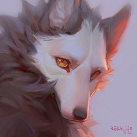 Rekalcix (@Rekalcix) / Twitter Canine Art, Mythical Creatures Art, Fox Art, A Wolf, Creature Concept Art, Wolf Art, Animal Sketches, Arte Animal, Creature Art