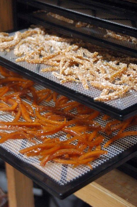 Candied Orange Spice Peels #BenefitsOfAddingLemonToWater Candied Orange Peel Recipe, Candied Orange Peels, Benefits Of Lemon Water, Candied Lemon Peel, Benefits Of Lemon, Italian Food Recipes, Candied Orange, Orange Peels, Candied Orange Peel