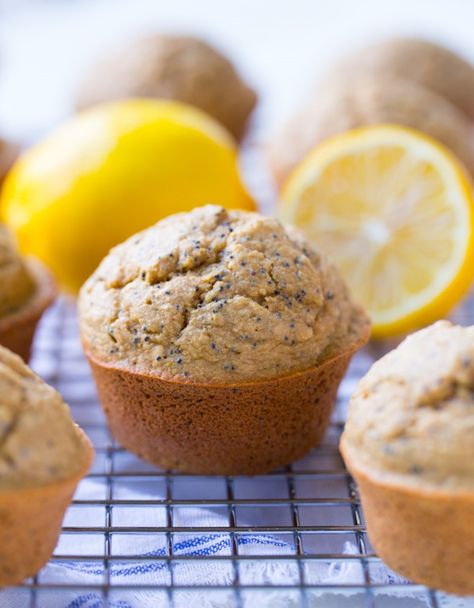 Flourless Lemon Poppy Seed Muffins - Making Thyme for Health Poppy Seed Muffin Recipe, Lemon Poppy Seed Muffins Recipe, Flourless Muffins, Poppyseed Muffins, Muffins Blueberry, Breakfast Cake Recipes, Lemon Poppy Seed Muffins, Blender Muffins, Pastas Recipes