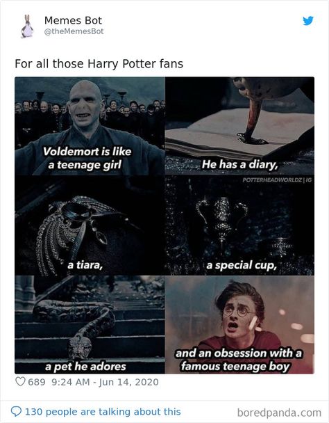 Harry Potter Means, Harry Potter Memes Funny So True, Harry Potter Funny Memes, Harry Potter Memes Funny, Harry Potter Fun Facts, Harry Potter Funny Pictures, Harry Potter References, Harry Potter Quotes Funny, Funny Harry Potter