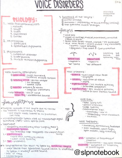 Slp Cheat Sheet, Voice Disorders Speech Therapy, Acute Care Slp, Slp Study Notes, Slp Praxis Study Guide, Audiology Aesthetic, Speech Therapist Aesthetic, Speech Language Pathology Aesthetic, Speech Therapy Aesthetic