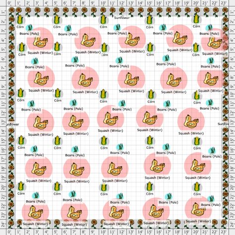 Garden Plan - Three Sisters Garden Three Sisters Garden Layout, 3 Sisters Garden, Three Sisters Garden, 5 Feet Apart, Food Forest Garden, Window Plants, Garden Plan, White Corn, 3 Sisters