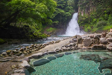 Read This Before Visiting The Izu Peninsula In Japan: Top Things To Do Izu Peninsula Japan, Izu Peninsula, Tokyo Trip, Western Artwork, Japan Vacation, Travel Japan, One Day Trip, Japan Trip, Shizuoka