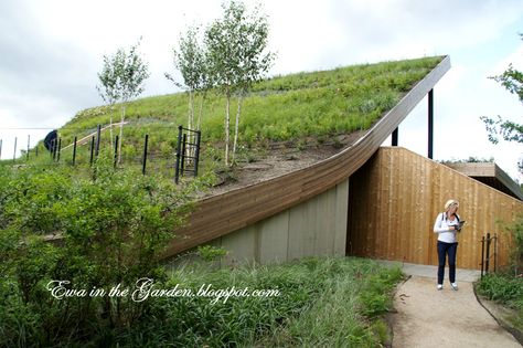 Natural Roof, Green Roof Design, Green Roof House, Green Roof Building, Grass Roof, Earth Sheltered, Green Ideas, Living Roofs, Underground Homes