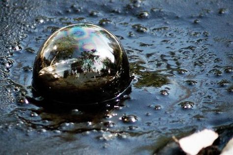 Popping tar bubbles with your toes on a hot day. La Brea Tar Pits, La Brea, Those Were The Days, Hot Day, Photo Vintage, Organic Matter, Cool Countries, Photo Essay, The Good Old Days