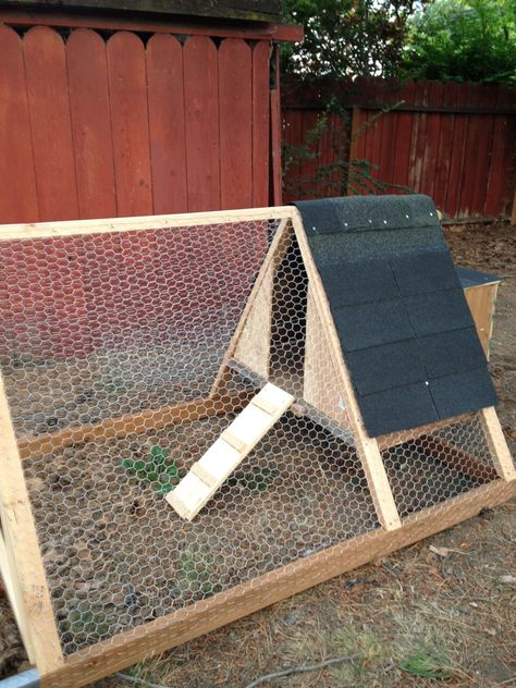 A Frame Tractor 6x4 | BackYard Chickens - Learn How to Raise Chickens A Frame Chicken Coop, Quail Coop, Rabbit Farm, Raising Chicks, How To Raise Chickens, Portable Chicken Coop, Poultry House, Chicken Tractors, Shed Decor