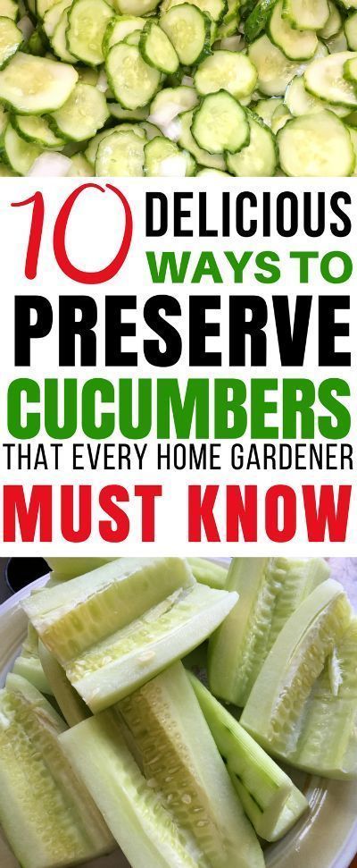 Preserve Cucumbers, Cucumber Ideas, Cucumbers Recipes, Preserving Cucumbers, Pickling Veggies, Canning Room, Preserve Vegetables, Cinnamon Garden, Canning Veggies