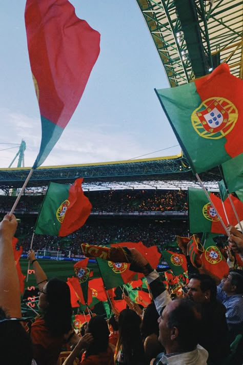 Portuguese Culture Aesthetic, Portugal Flag Aesthetic, Portugal Culture, Portugal Wallpaper, Portugal Football Team, Portugal Fc, Portugal Aesthetic, Portugal Football, Portugal Soccer