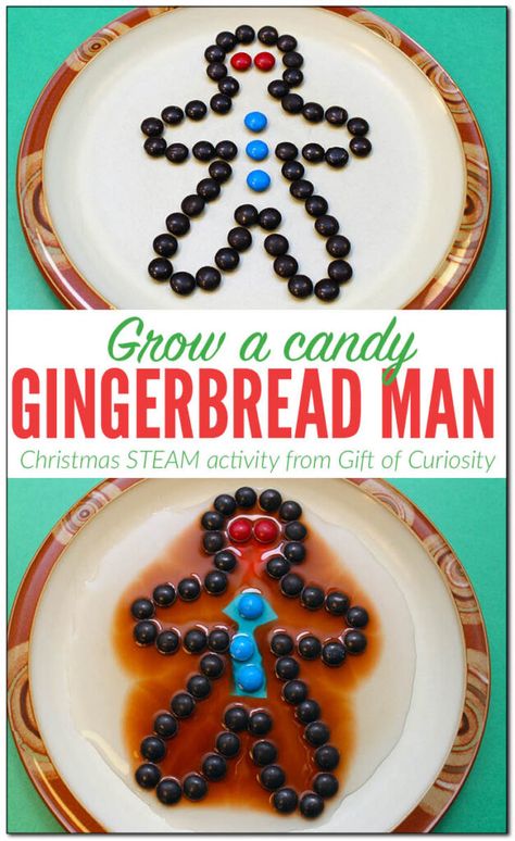 Gingerbread Science Preschool, Gingerbread Man Science, Gingerbread Science, Gingerbread Literacy, Muscles Of The Hand, Preschool Gingerbread, Christmas Science Activities, Christmas Science Experiments, Fine Motor Ideas