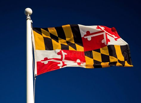 Maryland State Flag. Colorful flag of the State of Maryland flying against a dee , #AFF, #Colorful, #flag, #Flag, #Maryland, #State #ad Maryland Decor, Flag Aesthetic, Maryland Flag, State Flags, Design Display, Canada Flag, Display Ideas, Baltimore, Deep Blue