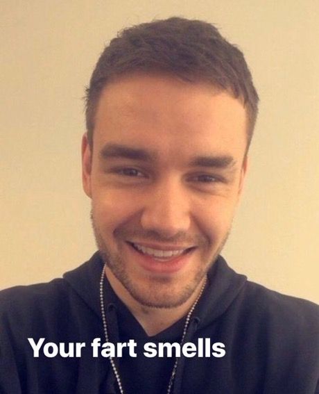 Liam Payne Reaction Pics, Social Media Au, Fem Oc, Summer Fling, Response Memes, Not Aesthetic, One Direction Humor, One Direction Memes, I Miss U