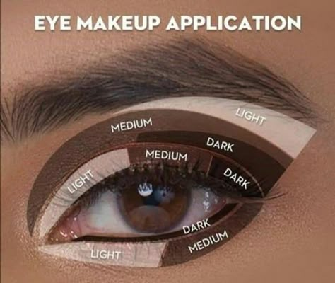 Order Of Eye Makeup Application, Beach Pictures Makeup, Makeup Hacks Eyeshadow Tips And Tricks, Make Up Brush Sets, Christmas Makeup For Blue Eyes, Makeup Application Tips, Eyeshadow Shades For Brown Eyes, Make Up Application Tips, How To Apply Smokey Eyeshadow