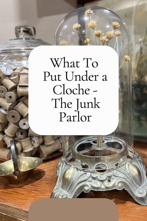 If you've ever asked yourself the question "What do I put under a cloche?", then you are in luck! The Junk Parlor has provided an insightful guide to help you discover the answer. In this post you will discover how to use the timeless item in the home to elevate your decor and showcase your personal style. Learn how to select the right items to put under your cloche and transform the look of your home! Tall Cloche Ideas, Bell Jar Decorating Ideas, Match Cloche Decor, Bell Cloche Ideas, Fall Cloche Decor Ideas, Cloche Decor Christmas, Glass Cloche Decor Ideas, What To Put Under A Cloche Glass Domes, How To Decorate A Cloche