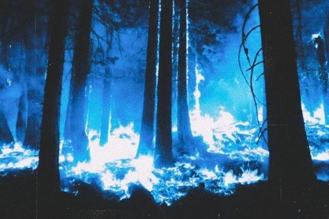 Touya Todoroki, Blue Forest, Fantasy Aesthetic, Mystical Creatures, Academia Aesthetic, Blue Fire, Love Blue, Character Aesthetic, Blue Aesthetic