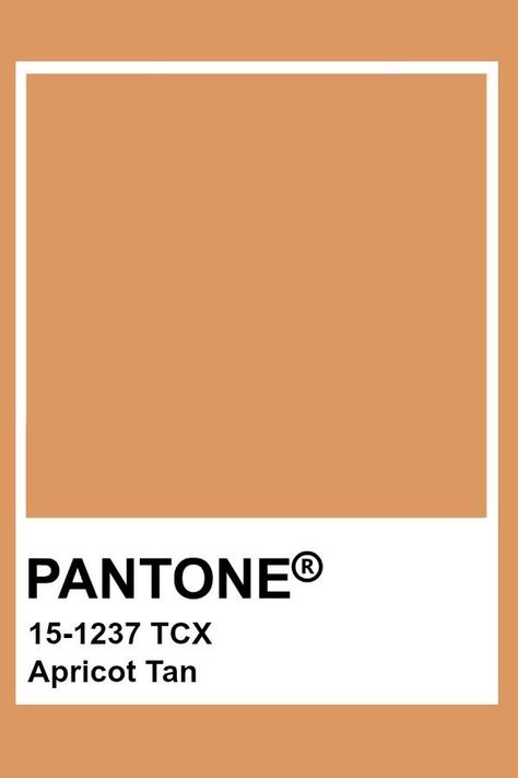 Deep Apricot Color, Orange Pantone Colour Palettes, Apricot Pantone, Tan Pantone, Pantone Brown, Orange Pantone, Apricot Colour, Brown Pantone, Pantone Tcx