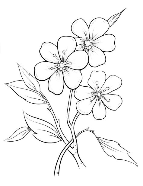 Blooming Cherry Blossoms: A detailed coloring page of cherry blossoms blooming, perfect for older children. (Free Printable Coloring Page for Kids) Flowers Spring Drawing, Trace Printables Free, Cherry Blossom Coloring Page, Spring Coloring Pages Free Printable, Coloring Pages Spring, Spring Coloring Sheets, Blossom Drawing, Cherry Blossom Drawing, Spring Drawing