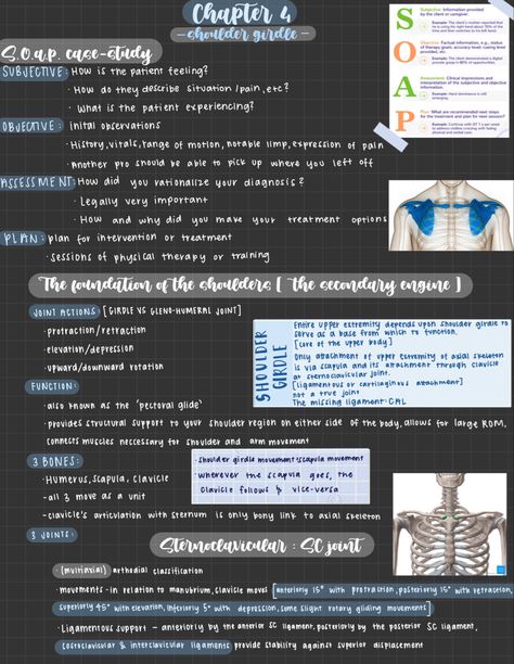 Kinesiology Notes Aesthetic, Kinesiology Notes, Notes Setup, Kinesiology Aesthetic, Aesthetic Revision, Chapter Notes, Online Notes, Accounting Education, Shoulder Girdle