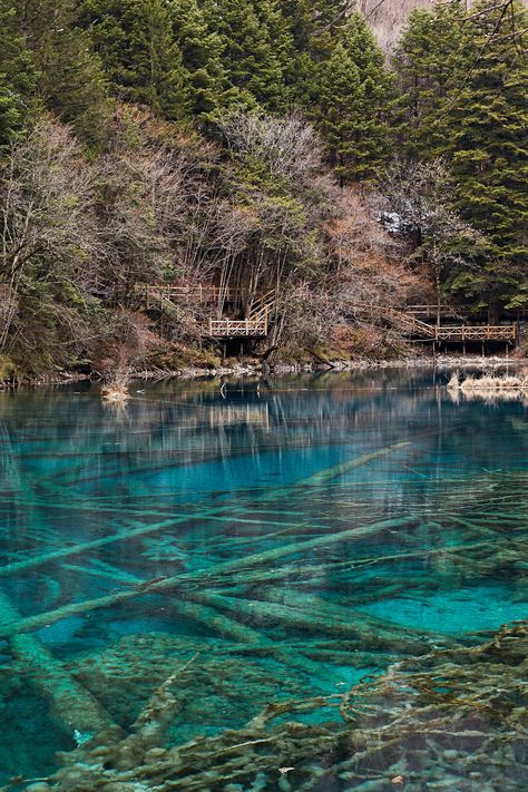 Sichuan, China | NY Based Photographer Jenny Huang China Forest, Mountains In China, Longmen Grottoes China, Guilin Mountains China, Sichuan China, Amazing Travel Destinations, Photo Story, Road Trippin, China Travel