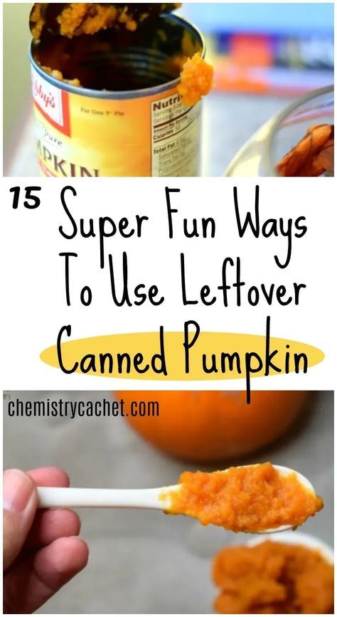 15 Super Fun Ways to Use Leftover Canned Pumpkin on Chemistry Cachet! Unique ways to use leftover canned pumpkin you will love! Leftover Canned Pumpkin, Pumpkin Milkshake, Pumpkin Fluff Dip, Pumpkin Chai Tea, Canned Pumpkin Recipes, Pumpkin Fluff, Pumpkin Recipes Easy, Leftover Pumpkin, Pumpkin Scent