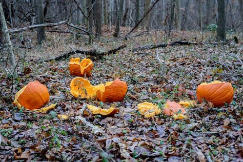 Smashed Pumpkins by Allan Johnson Smashed Pumpkin, Smashed Pumpkin Drawing, Patrick Drawing, Pumpkin Smash, Pumpkin Tattoo, Gilmore Girls Seasons, Pumpkin Drawing, Pumpkin Spice Coffee, Fall Weather