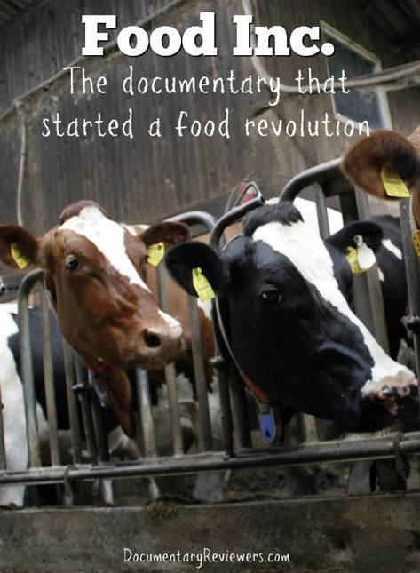 Food Inc is an extremely powerful food documentary that everyone should see! It is one of the first health documentaries to enter the mainstream and for good reason - it's amazing! Good Documentaries To Watch, Food Documentaries, Recipe Icon, Movie To Watch List, Food Inc, Documentary Movies, Best Documentaries, Childhood Obesity, 8th Sign