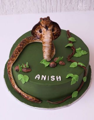 Cobra Cake, Snake Cake, Snake Cakes, Snake Birthday, Snake Party, Reptile Party, Truck Cakes, Jungle Cake, 4th Birthday Cakes